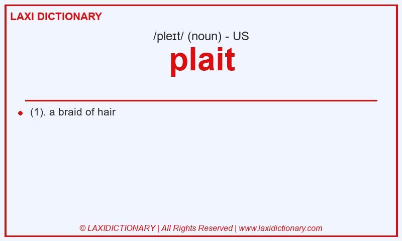Definition plait in American English