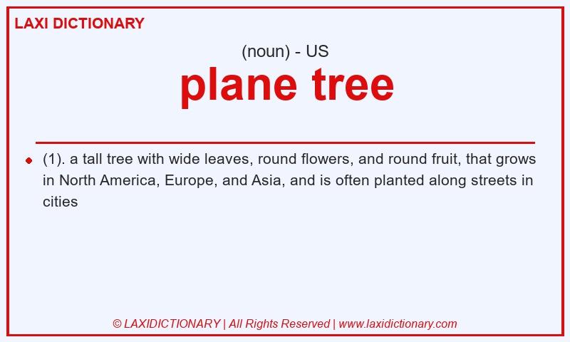 Definition plane tree in American English