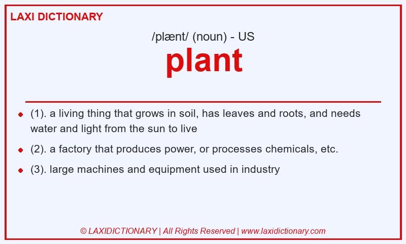 Definition plant in American English