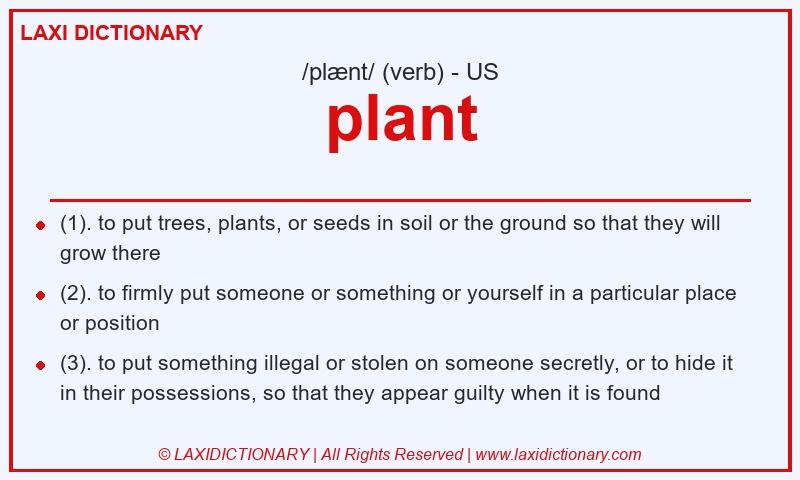 Definition plant in American English