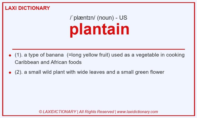 Definition plantain in American English