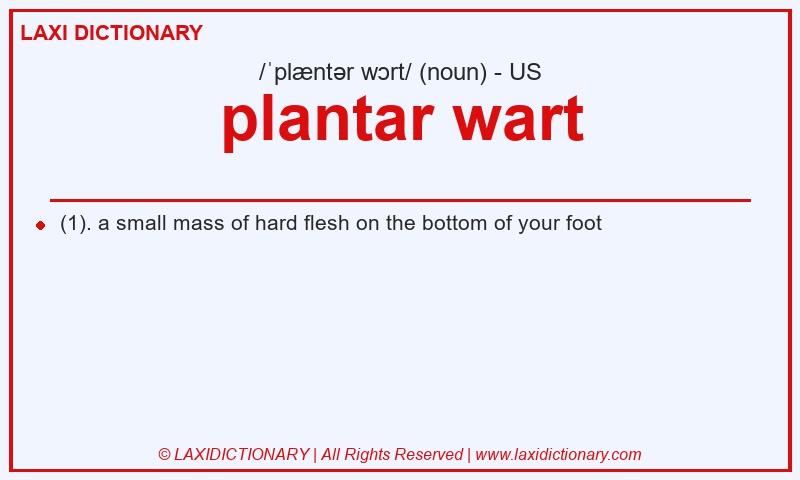 Definition plantar wart in American English