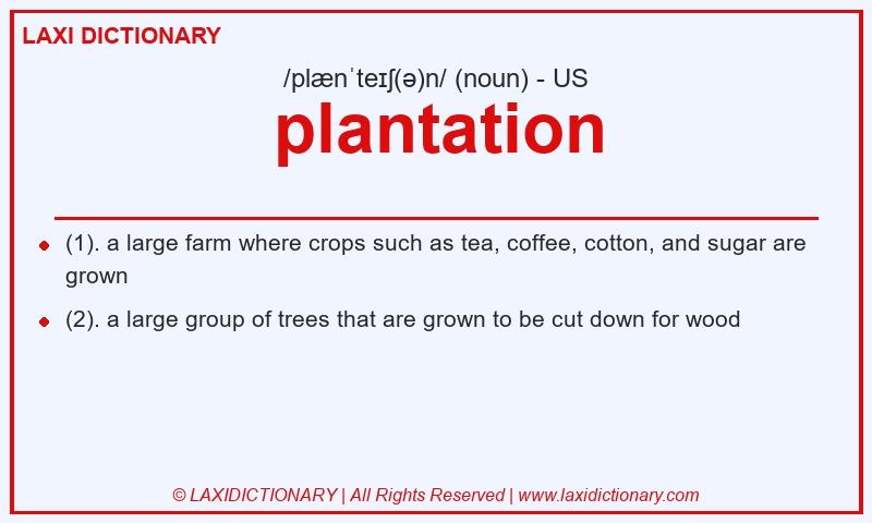 Definition plantation in American English