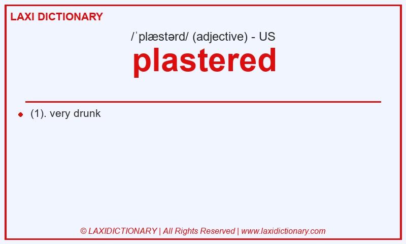 Definition plastered in American English
