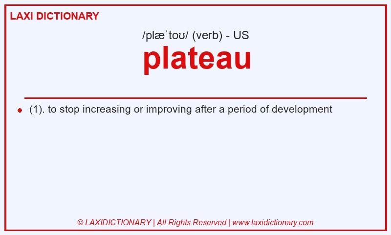 Definition plateau in American English