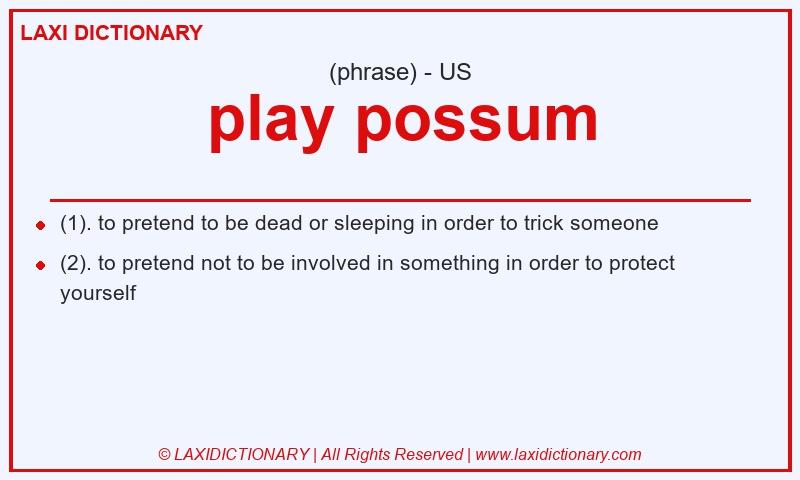 Definition play possum in American English