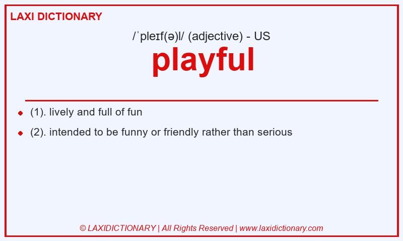 Definition playful in American English
