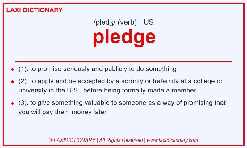 Definition pledge in American English