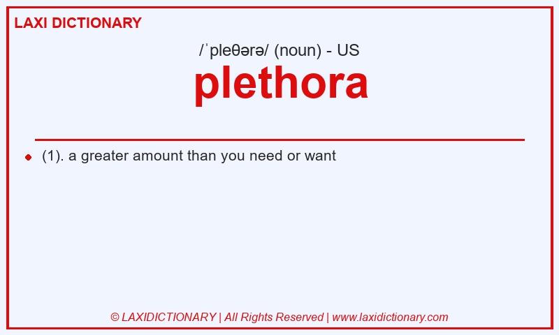Definition plethora in American English