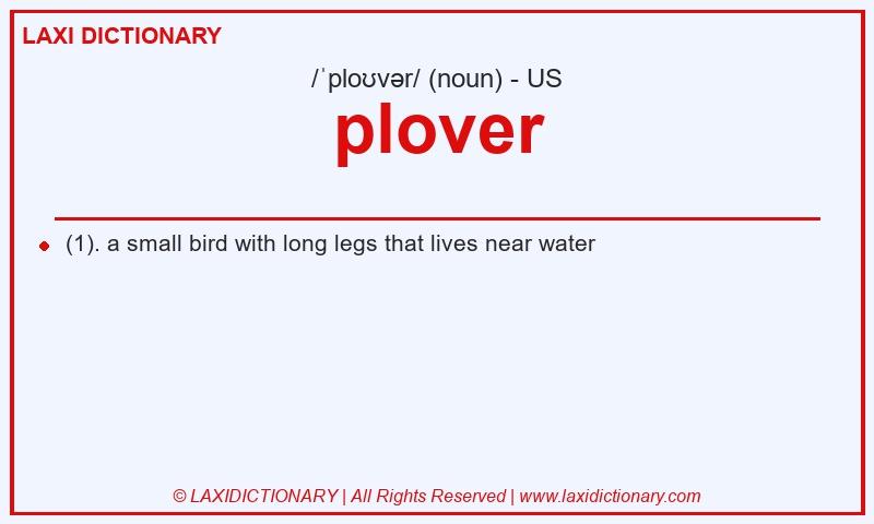 Definition plover in American English