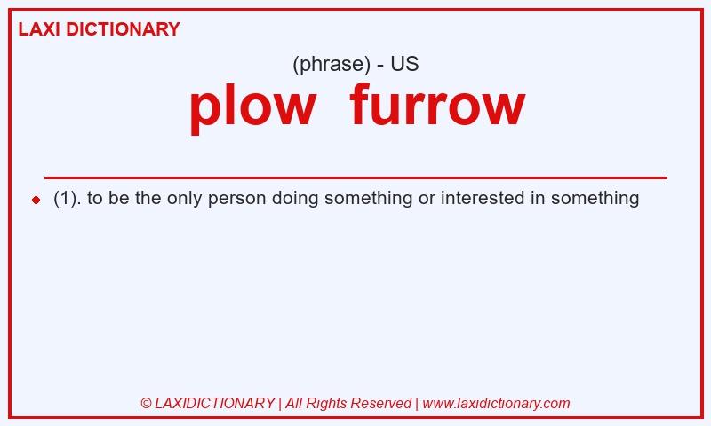 Definition plow furrow in American English