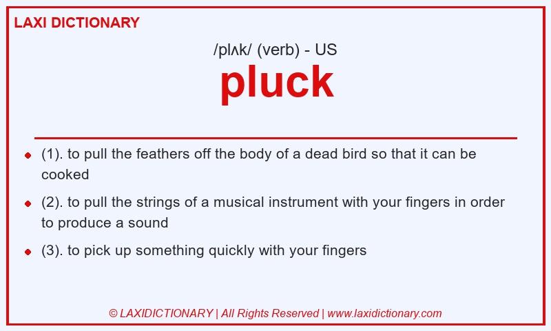 Definition pluck in American English