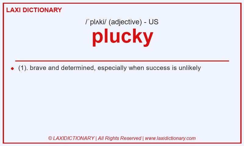 Definition plucky in American English