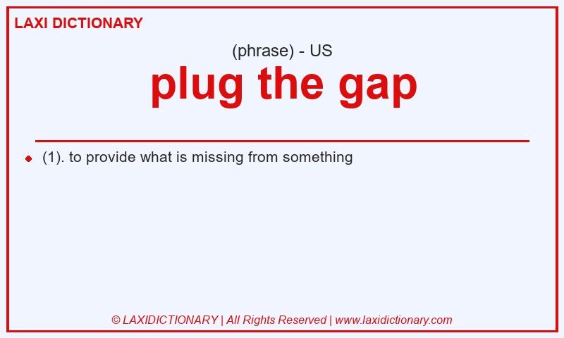 Definition plug the gap in American English