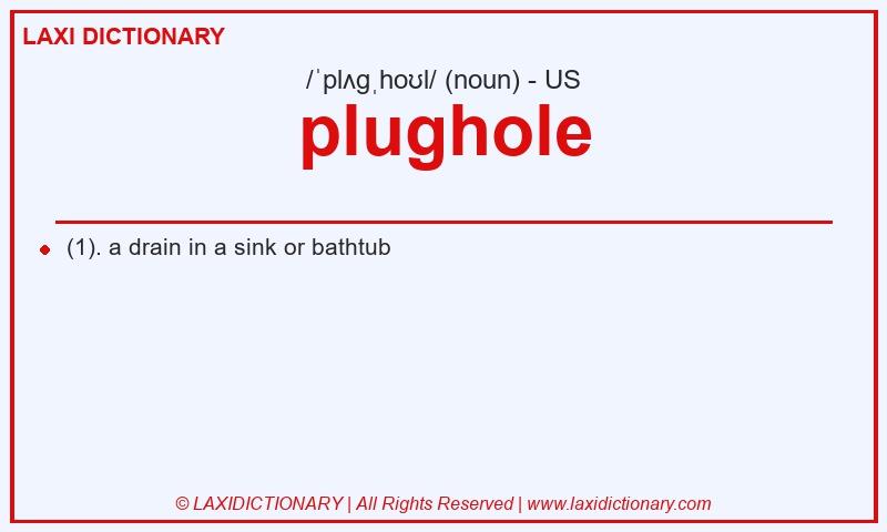 Definition plughole in American English