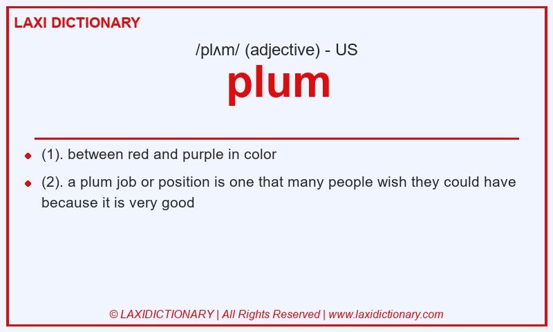 Definition plum in American English