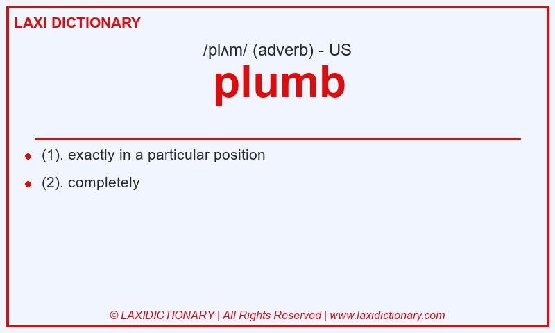 Definition plumb in American English