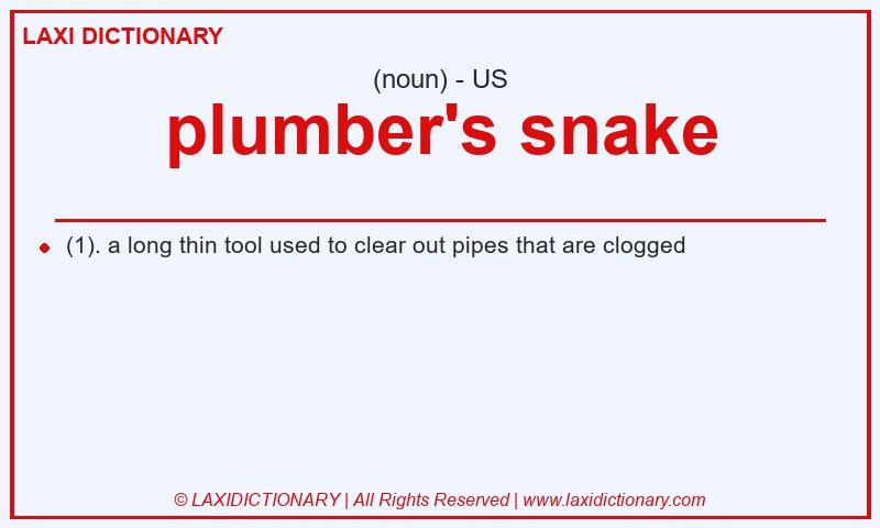 Definition plumber's snake in American English