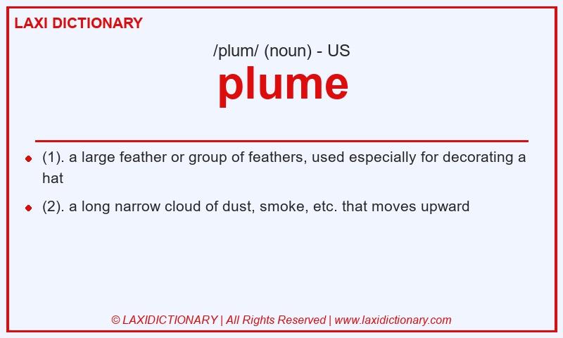 Definition plume in American English