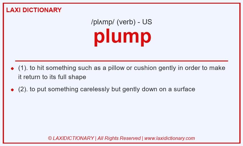 Definition plump in American English