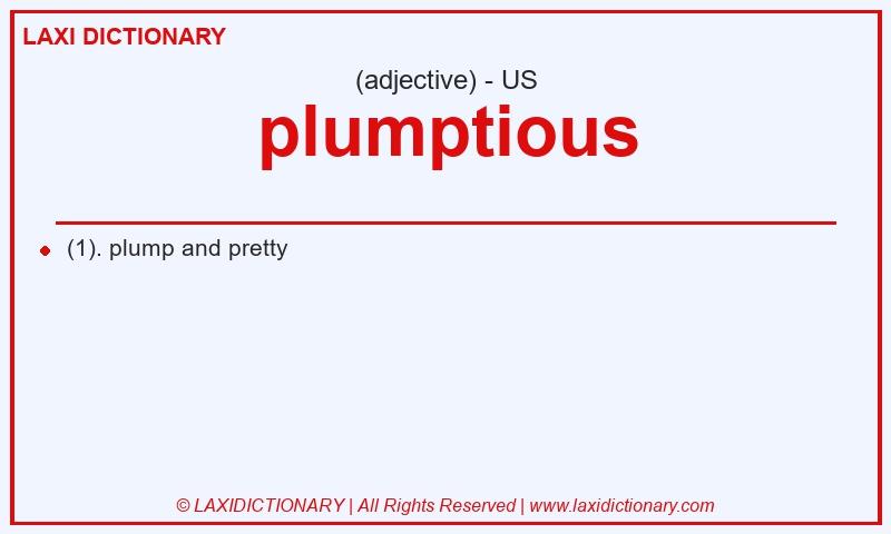 Definition plumptious in American English