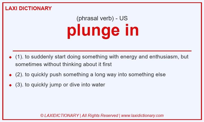 Definition plunge in in American English