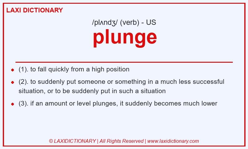 Definition plunge in American English