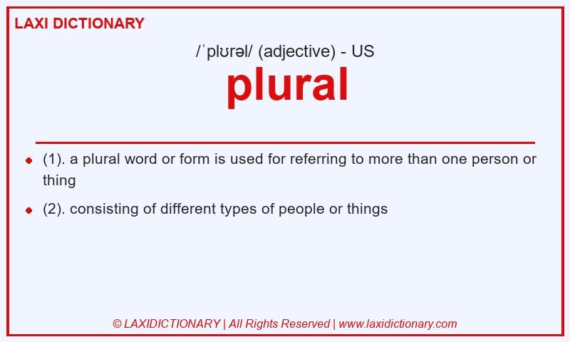 Definition plural in American English