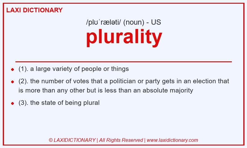 Definition plurality in American English