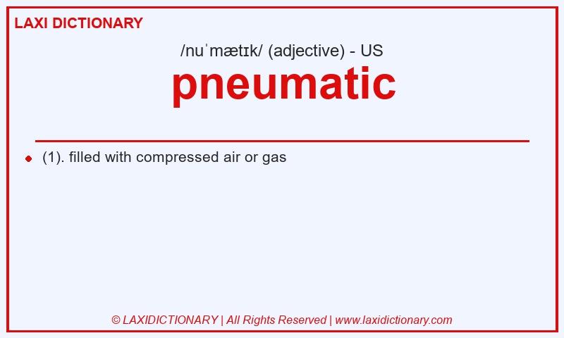 Definition pneumatic in American English