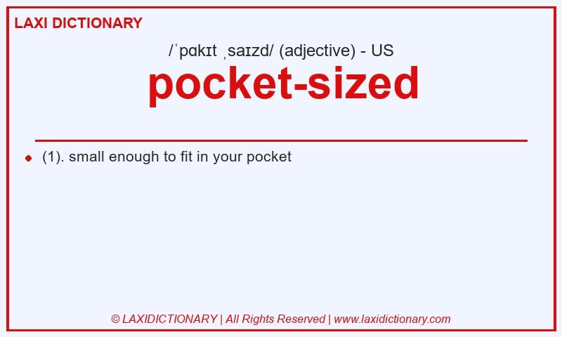 Definition pocket-sized in American English