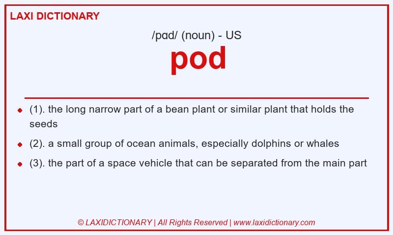 Definition pod in American English