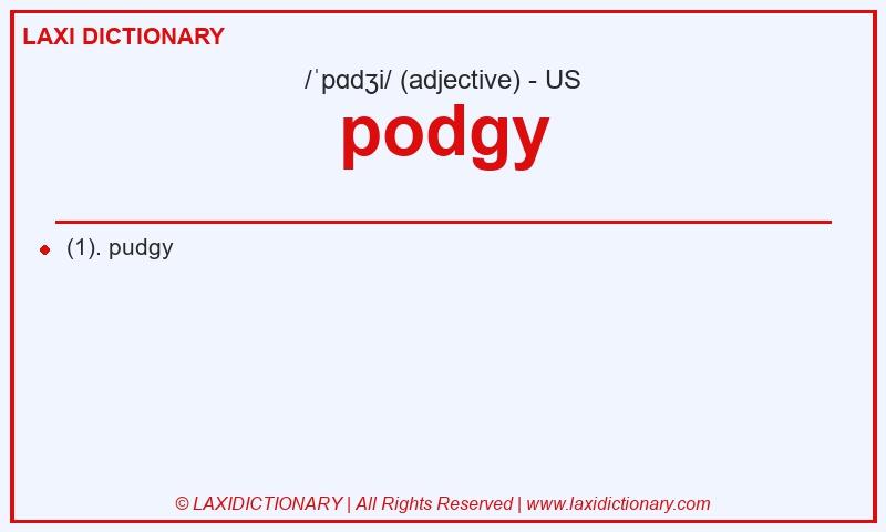 Definition podgy in American English