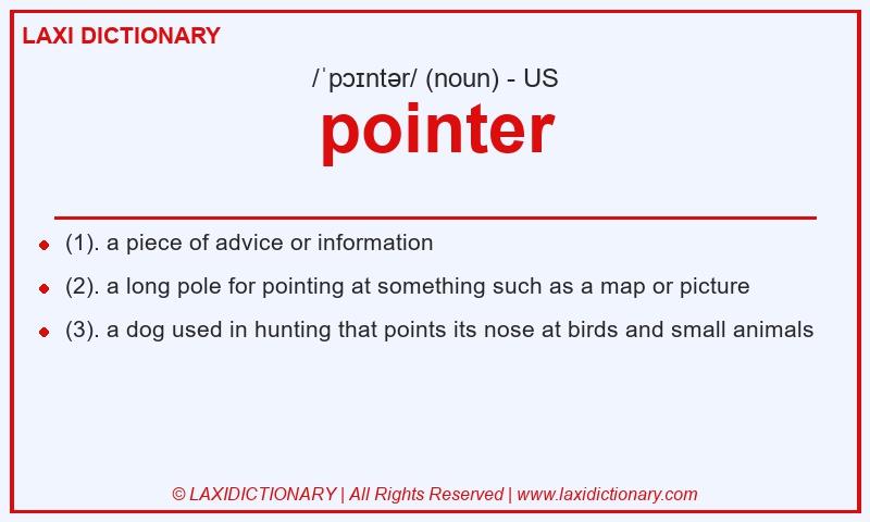 Definition pointer in American English