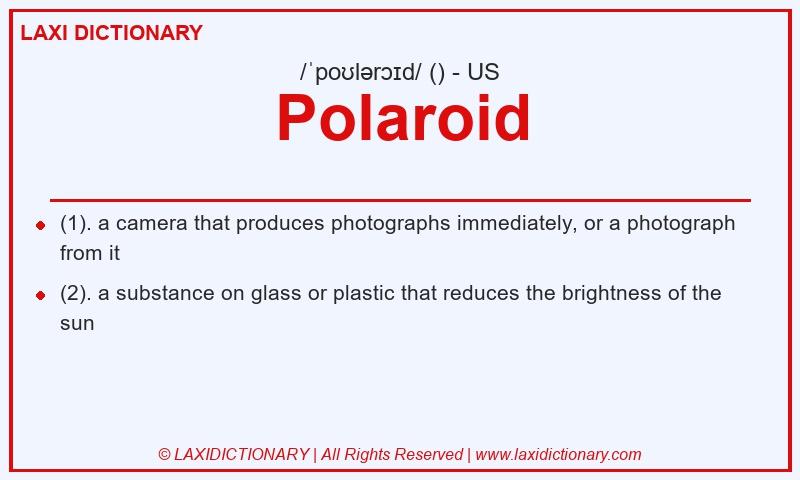 Definition Polaroid in American English