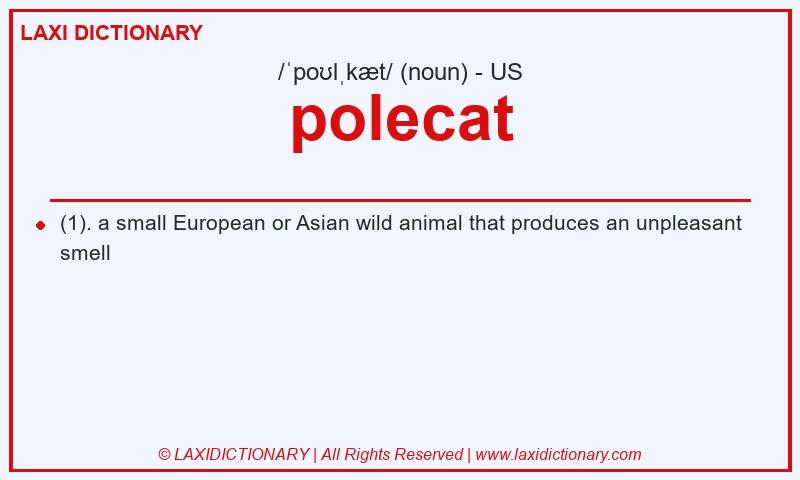 Definition polecat in American English
