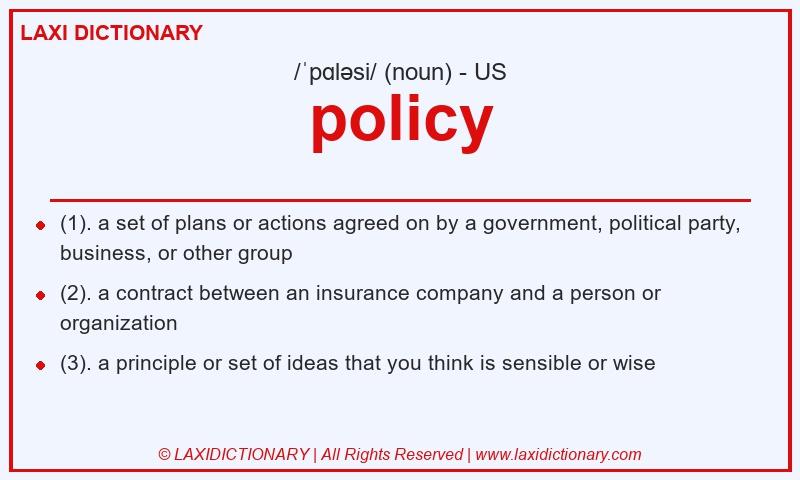 Definition policy in American English