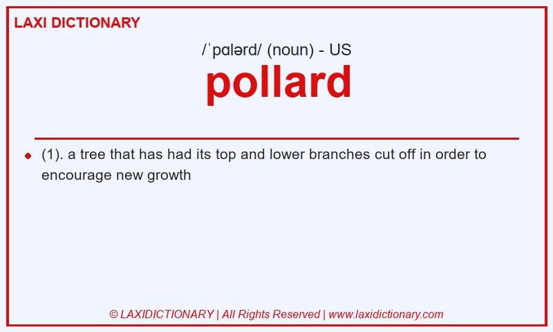 Definition pollard in American English
