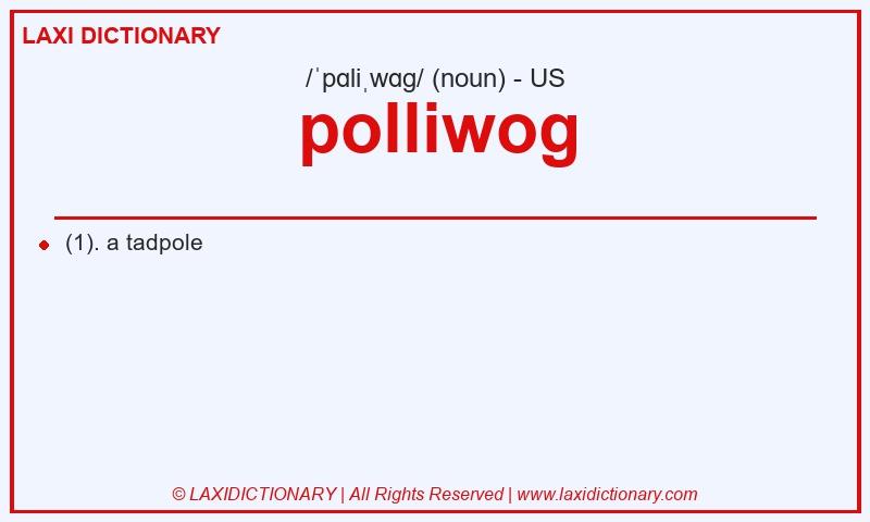 Definition polliwog in American English