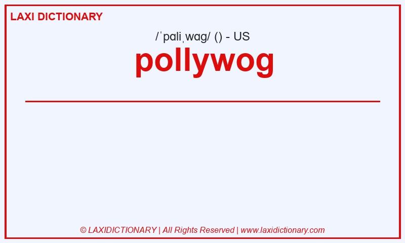 Definition pollywog in American English