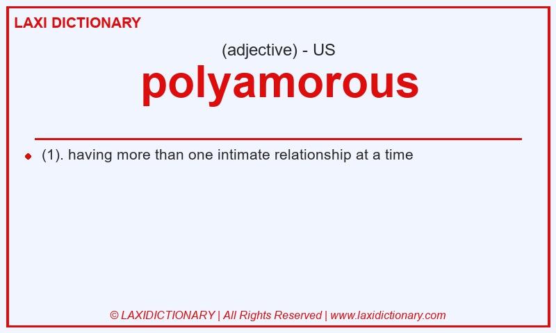 Definition polyamorous in American English