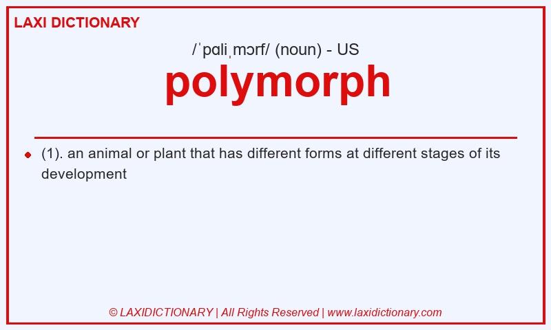 Definition polymorph in American English