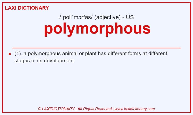 Definition polymorphous in American English