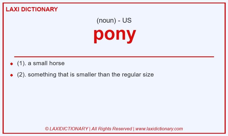 Definition pony in American English