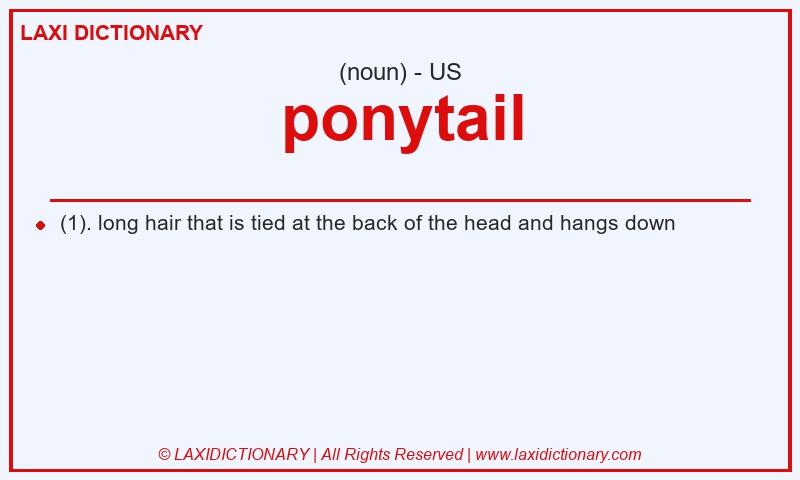 Definition ponytail in American English