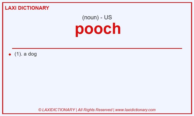 Definition pooch in American English