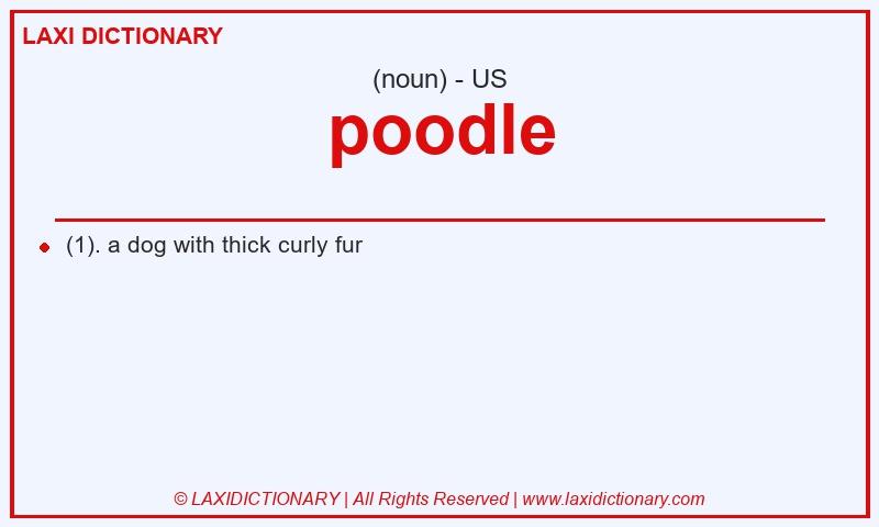 Definition poodle in American English