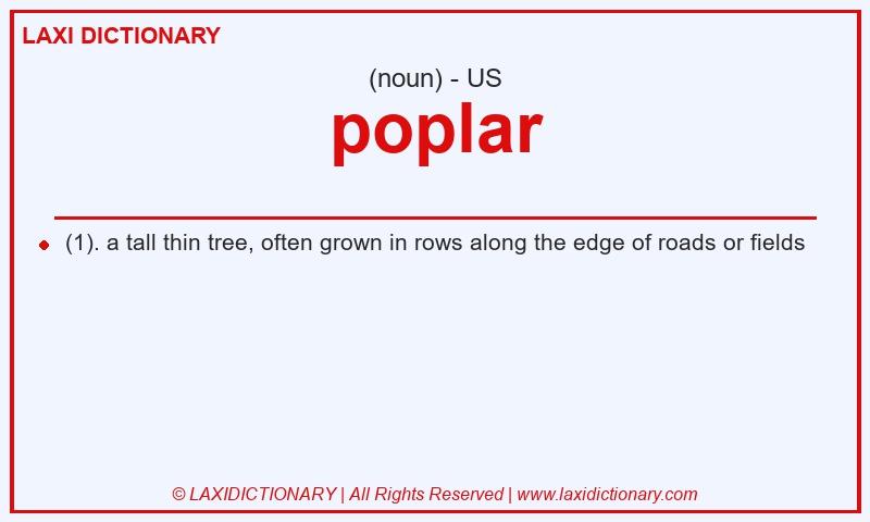 Definition poplar in American English