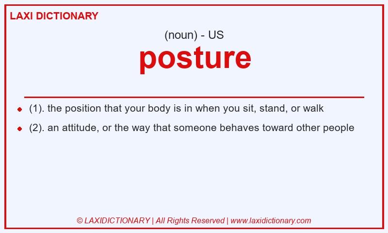 Definition posture in American English