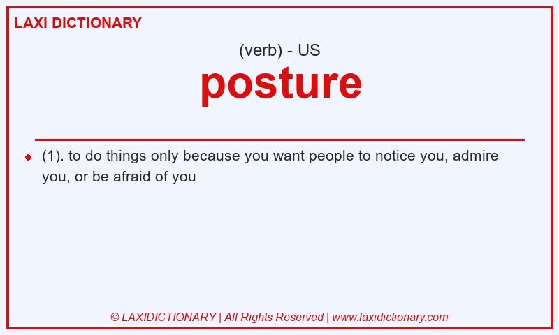 Definition posture in American English